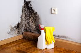 Best Air Quality Testing for Mold Spores  in Green Meadows, OH